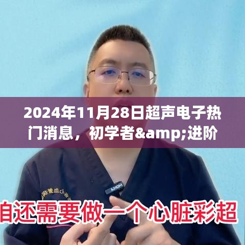 2024年11月28日超声电子热门消息全攻略,初学者与进阶用户必备掌握