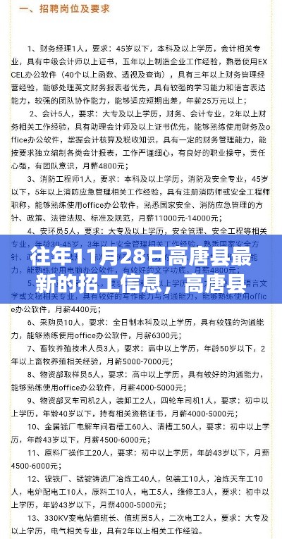 高唐县历年招工信息深度解析,特性、体验、竞品对比与用户分析回顾往年招工趋势与用户反馈