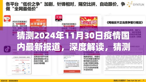 深度解读,预测2024年11月30日国内疫情的全面评测与最新报道