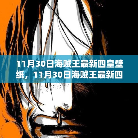 海贼世界盛宴,最新四皇壁纸探索与视觉震撼