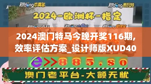 2024澳门特马今晚开奖116期,效率评估方案_设计师版XUD40.967