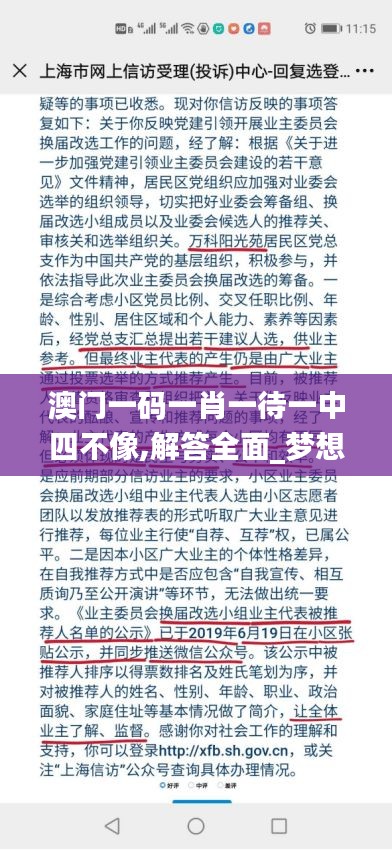 澳门一码一肖一待一中四不像,解答全面_梦想版BQV54.963