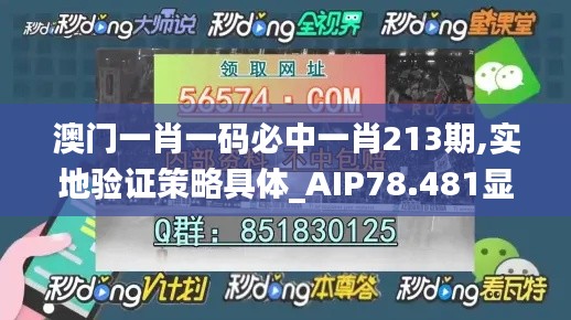澳门一肖一码必中一肖213期,实地验证策略具体_AIP78.481显示版