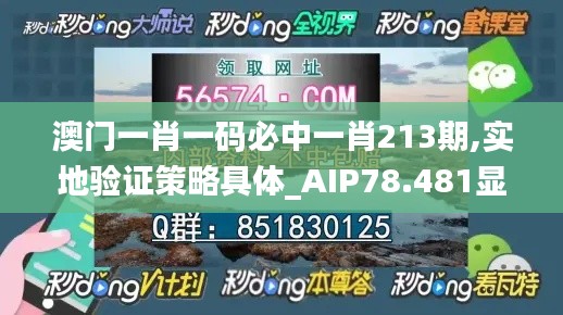 澳门一肖一码必中一肖213期,实地验证策略具体_AIP78.481显示版