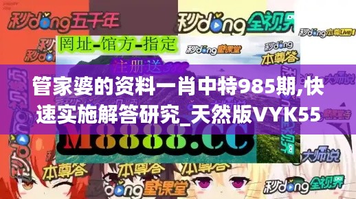 管家婆的资料一肖中特985期,快速实施解答研究_天然版VYK55.239