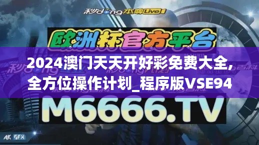 2024澳门天天开好彩免费大全,全方位操作计划_程序版VSE94.459