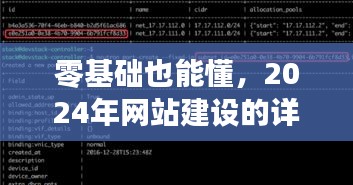 零基础也能懂,2024年网站建设详细步骤指南