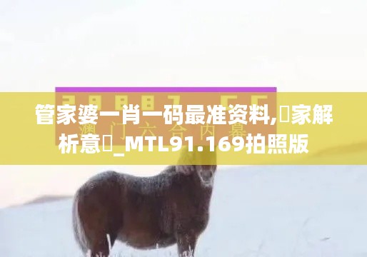 管家婆一肖一码最准资料,專家解析意見_MTL91.169拍照版