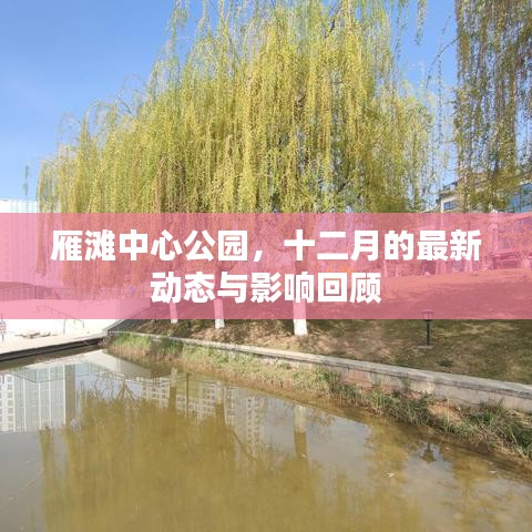 雁滩中心公园十二月动态回顾与影响展望