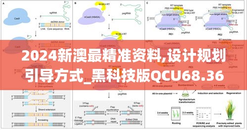 2024新澳最精准资料,设计规划引导方式_黑科技版QCU68.363