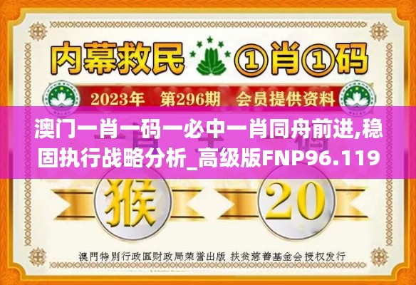 澳门一肖一码一必中一肖同舟前进,稳固执行战略分析_高级版FNP96.119