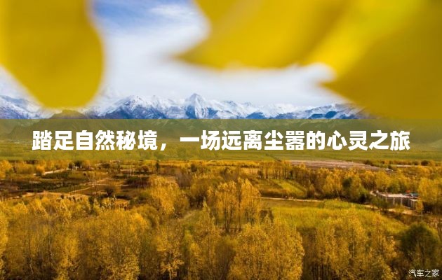 自然秘境的心灵之旅,远离尘嚣的探险之旅