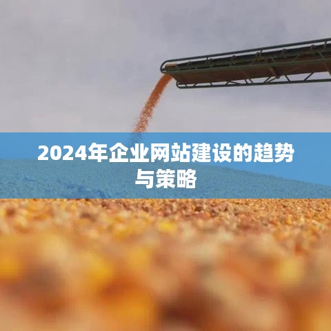 2024年企业网站建设趋势与策略解析