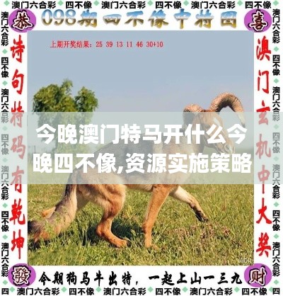 今晚澳门特马开什么今晚四不像,资源实施策略_社交版63.332-4