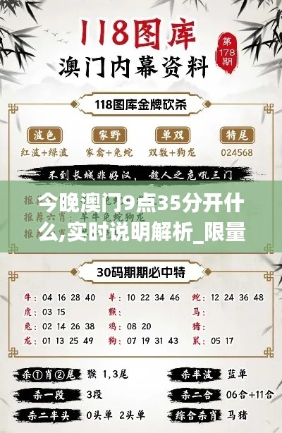 今晚澳门9点35分开什么,实时说明解析_限量款80.943-9
