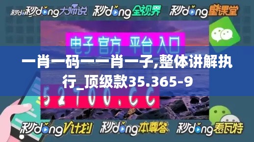 一肖一码一一肖一子,整体讲解执行_顶级款35.365-9
