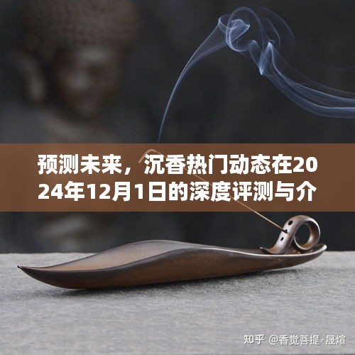 橘虞初梦 第6页