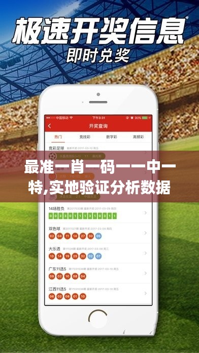 最准一肖一码一一中一特,实地验证分析数据_HD19.248-9