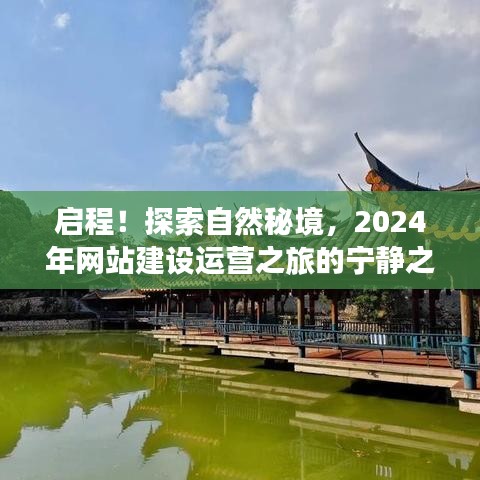 展翅高飞 第5页