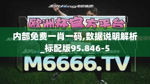 内部免费一肖一码,数据说明解析_标配版95.846-5