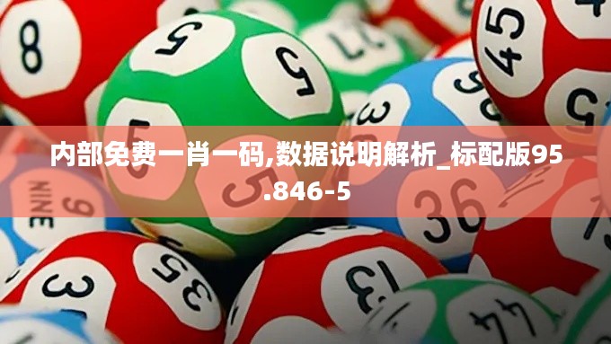内部免费一肖一码,数据说明解析_标配版95.846-5