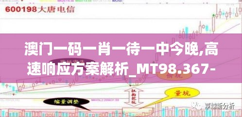 澳门一码一肖一待一中今晚,高速响应方案解析_MT98.367-9