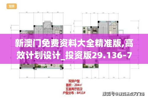 新澳门免费资料大全精准版,高效计划设计_投资版29.136-7