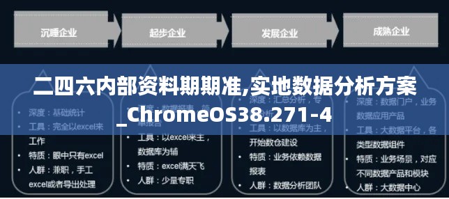 二四六内部资料期期准,实地数据分析方案_ChromeOS38.271-4