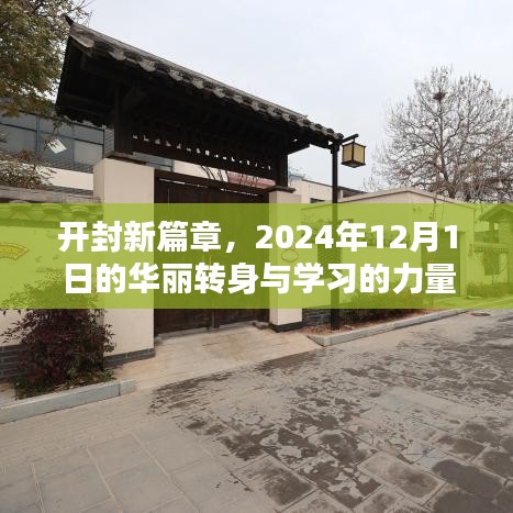 开封新篇章,华丽转身与学习的力量在2024年12月1日的绽放