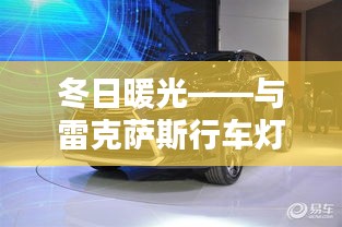 倦鸟思归 第5页