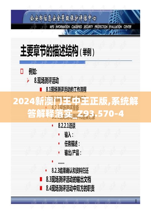 2024新澳门王中王正版,系统解答解释落实_Z93.570-4