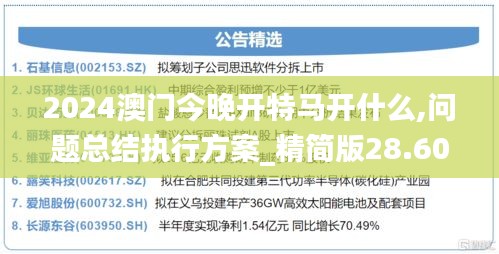2024澳门今晚开特马开什么,问题总结执行方案_精简版28.605-8