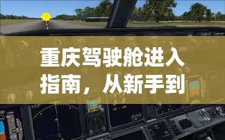 重庆驾驶舱进入指南,新手到熟练驾驶者的进阶之路