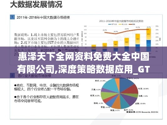惠泽天下全网资料免费大全中国有限公司,深度策略数据应用_GT66.241-9