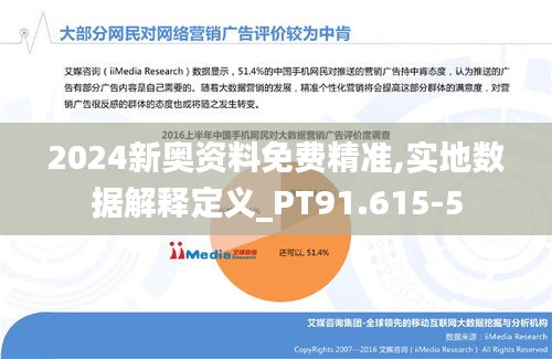 2024新奥资料免费精准,实地数据解释定义_PT91.615-5