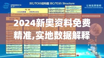 2024新奥资料免费精准,实地数据解释定义_PT91.615-5