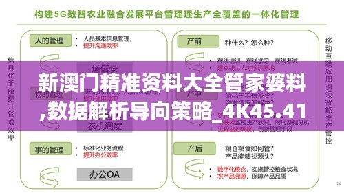 新澳门精准资料大全管家婆料,数据解析导向策略_4K45.411-4