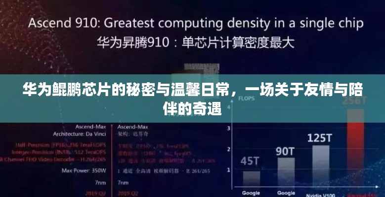 华为鲲鹏芯片背后的故事,友情与陪伴的奇遇