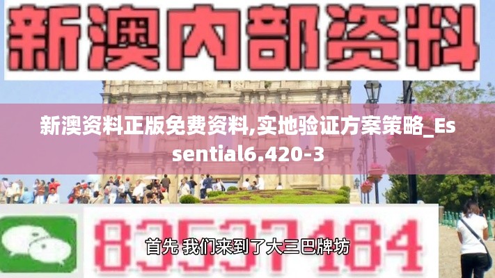 新澳资料正版免费资料,实地验证方案策略_Essential6.420-3