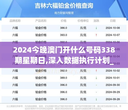 2024今晚澳门开什么号码338期星期日,深入数据执行计划_精英款8.507-2