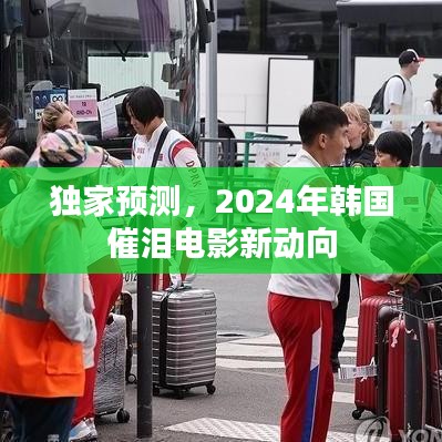独家预测,2024年韩国催泪电影趋势展望