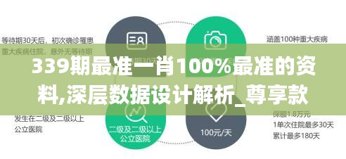 339期最准一肖100%最准的资料,深层数据设计解析_尊享款48.771-9