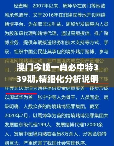 澳门今晚一肖必中特339期,精细化分析说明_N版53.141-5