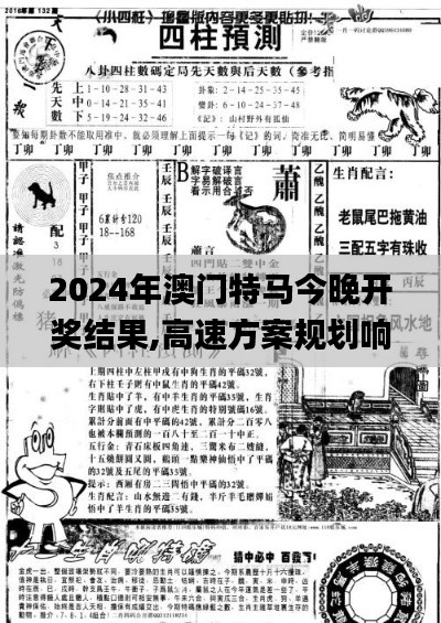 2024年澳门特马今晚开奖结果,高速方案规划响应_Gold77.374-7
