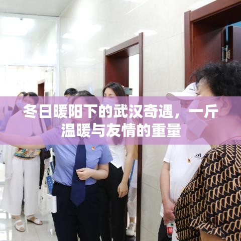 武汉奇遇,冬日暖阳下的友情重如千斤