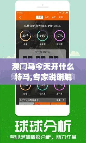 澳门马今天开什么特马,专家说明解析_界面版68.862-7