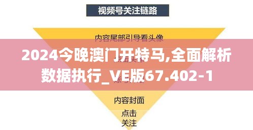 2024今晚澳门开特马,全面解析数据执行_VE版67.402-1