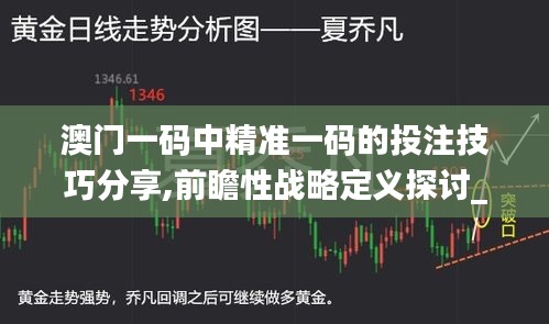 澳门一码中精准一码的投注技巧分享,前瞻性战略定义探讨_N版70.620-4