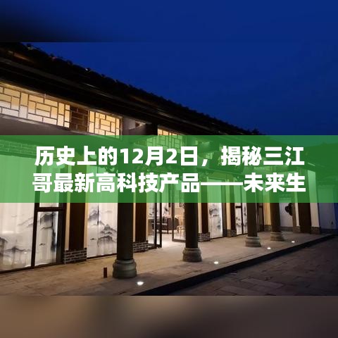 网站案例 第423页