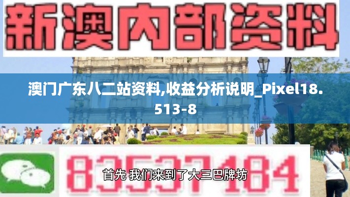 澳门广东八二站资料,收益分析说明_Pixel18.513-8